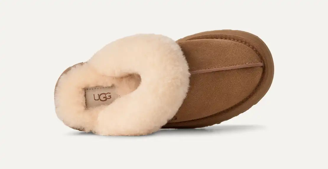 UGG Disquette Chestnut color